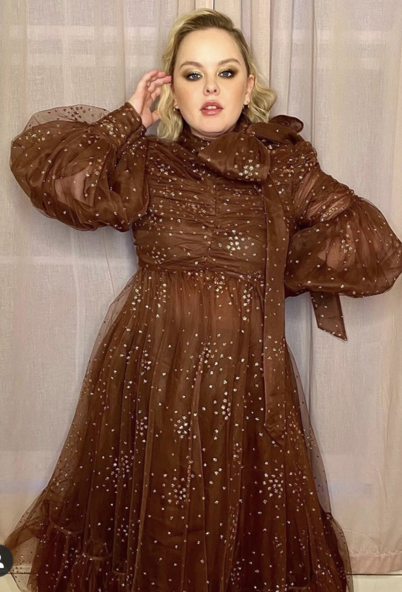 Zimmermann Tempo Ruched Glitter Tulle Gown Brown Size 1 / AU10