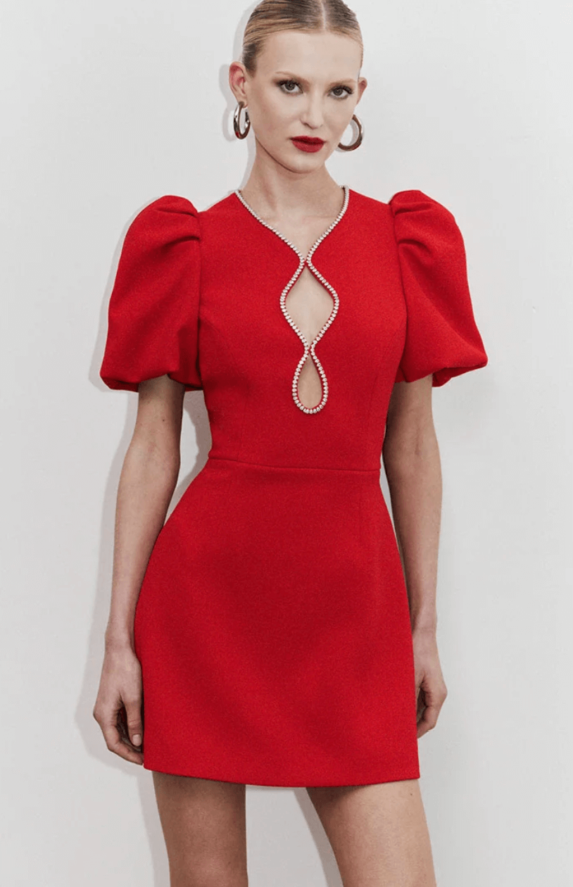 black mesh cut out dress Lizz Mesh Cutout Dress