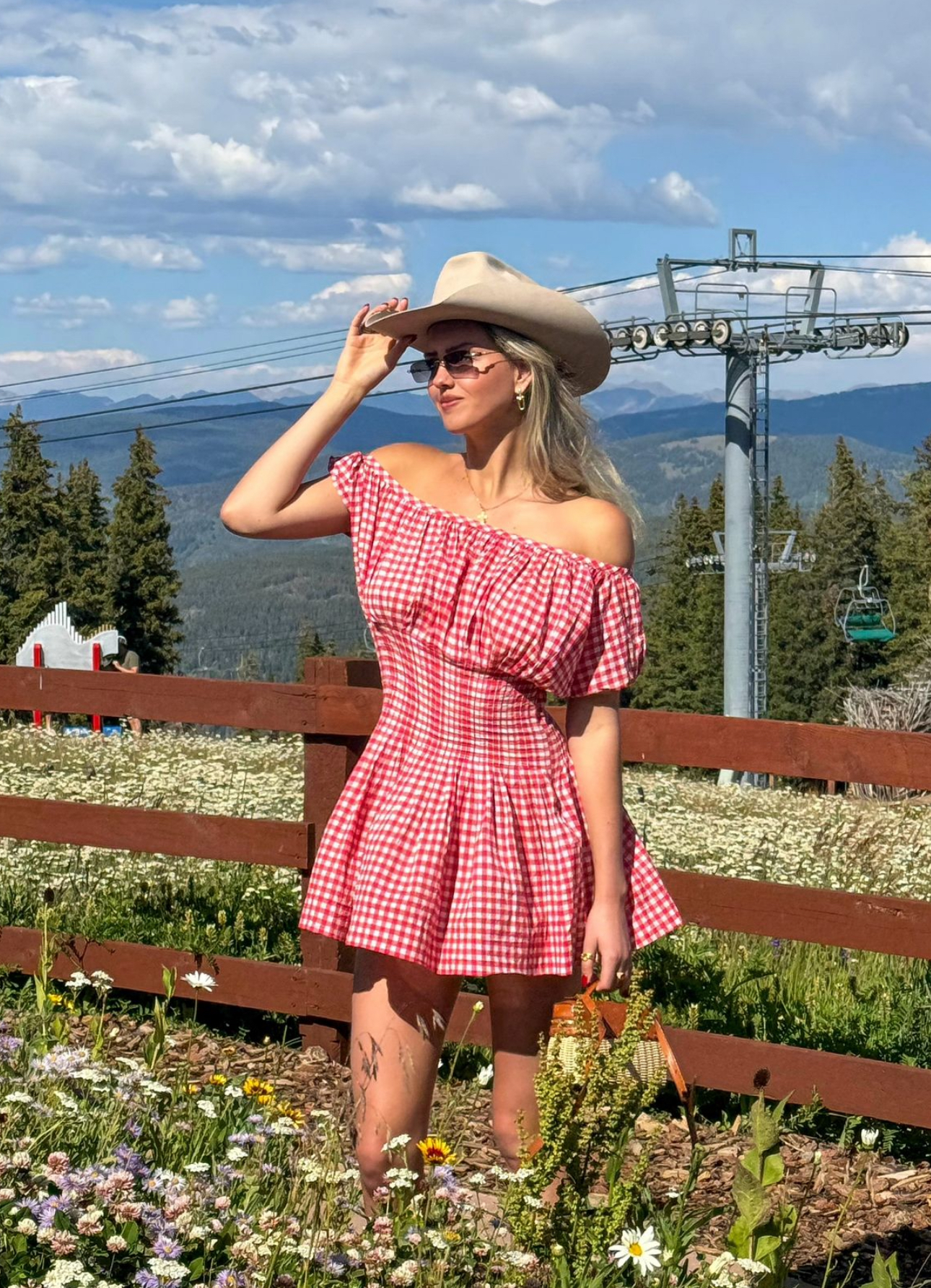 sadie gingham mini dress Frankies Bikinis - Sadie Gingham Mini Dress